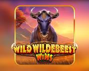 Wild Wildebeest Wins